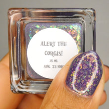 Night Owl Lacquer "Alert the Corgis" Overstock
