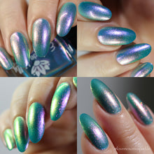 Emily de Molly: "Wonder Of Nature" *CAPPED PRE-ORDER*