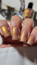 Pahlish: Hurricane Charity "The Dark Kingdom" *PRE-ORDER*