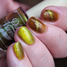 By Dany Vianna: Halloween Set "This is Halloween" (Magnetic) and Bag *OVERSTOCK*