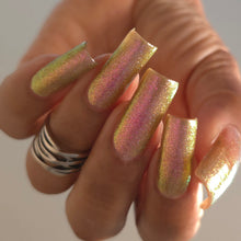 Hula Moon: "What Else Can We Pile On Here?!" *CAPPED PRE-ORDER*