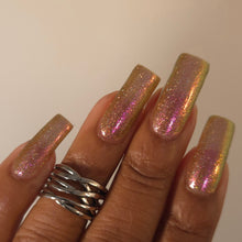 Hula Moon: "What Else Can We Pile On Here?!" *CAPPED PRE-ORDER*