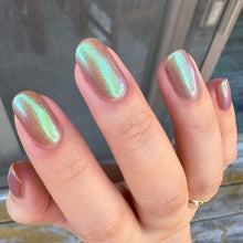 Zombie Claw: "Mitch Rocks!" *OVERSTOCK*