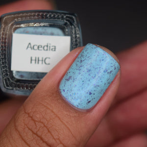 Grace-full Nail Polish: "Acedia" *OVERSTOCK*