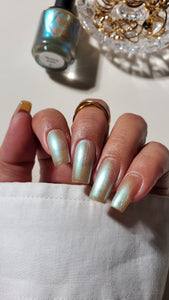 Bee's Knees Lacquer: "Waylaid By Bullsh!t" *PRE-ORDER*