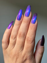 Sassy Sauce Polish: "Dangerous Curves" (Magnetic) *OVERSTOCK*