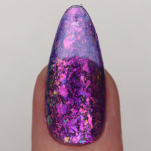 Ard as Nails: "The Bookshop" *OVERSTOCK*