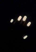 LynB Designs: "Fin-tastic" (Glow in the Dark) *OVERSTOCK*