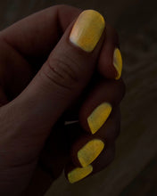 LynB Designs: "Fin-tastic" (Glow in the Dark) *OVERSTOCK*