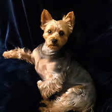 Victorian Varnish: Valentine's Day Duo "I Have A Problem with My Licker" and "It's Ruff Under the Covers" *CAPPED PRE-ORDER*