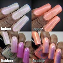 BCB Lacquers: Mother's Day Duo "We Have Food at Home" (Solar) and "Because I Said So!" (Solar) *OVERSTOCK*