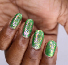 Ard as Nails: "The Bay" *CAPPED PRE-ORDER*