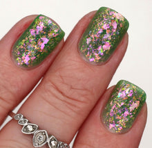 Ard as Nails: "The Bay" *CAPPED PRE-ORDER*