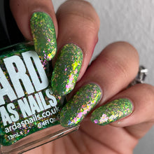 Ard as Nails: "The Bay" *CAPPED PRE-ORDER*