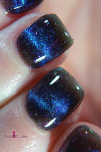 Sassy Sauce Polish: Mother's Day Duo "Because I Said So" and "Don't Make Me Stop This Car" (Magnetic) *OVERSTOCK*