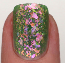 Ard as Nails: "The Bay" *CAPPED PRE-ORDER*