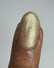 Hula Moon: "Fold in the Cheese" *CAPPED PRE-ORDER*