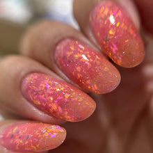 Nothing Basic: DUO "Rainbow" and "Fish" (Reflective) *OVERSTOCK*