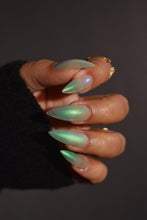 Zombie Claw: "Armyverse" *CAPPED PRE-ORDER*