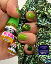 Checkered Finish: Indie-pendence Scrunchie+ Duo "Morning Garden Dew" *CAPPED PRE-ORDER*