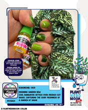 Checkered Finish: Indie-pendence Scrunchie+ Duo "Morning Garden Dew" *CAPPED PRE-ORDER*