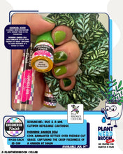 Checkered Finish: Indie-pendence Scrunchie+ Duo "Morning Garden Dew" *CAPPED PRE-ORDER*