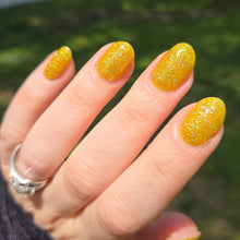 Bee's Knees Lacquer: "Khajit Cooking" (Reflective) *CAPPED PRE-ORDER*