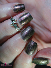 Checkered Finish: Charity "It Costs a Lot of Money to Look This Cheap!" *CAPPED PRE-ORDER*