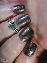 Checkered Finish: Charity "It Costs a Lot of Money to Look This Cheap!" *CAPPED PRE-ORDER*
