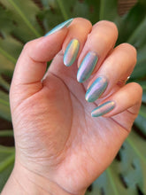 Zombie Claw: Holidays "Zombie Wonderland" *CAPPED PRE-ORDER*