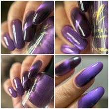 Penelope Luz: SINGLE "Wisteria" (Magnetic) *OVERSTOCK*