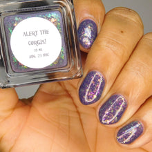 Night Owl Lacquer "Alert the Corgis" Overstock