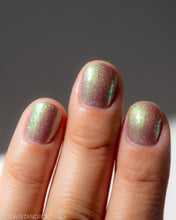 Pahlish: "Bruise" *OVERSTOCK*