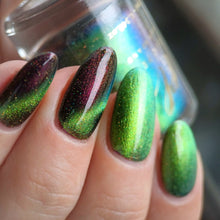 Penelope Luz: DUO "Victoria Amazonica" and "Brazilian Treasures" (Magnetic) *CAPPED PRE-ORDER*