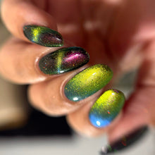 Penelope Luz: DUO "Victoria Amazonica" and "Brazilian Treasures" (Magnetic) *CAPPED PRE-ORDER*