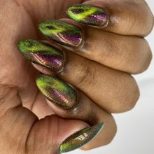 Penelope Luz: DUO "Victoria Amazonica" and "Brazilian Treasures" (Magnetic) *CAPPED PRE-ORDER*