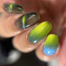 Penelope Luz: SINGLE "Brazilian Treasures" (Magnetic) *CAPPED PRE-ORDER*