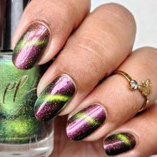 Penelope Luz: DUO "Victoria Amazonica" and "Brazilian Treasures" (Magnetic) *CAPPED PRE-ORDER*