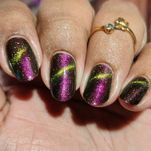 Penelope Luz: DUO "Victoria Amazonica" and "Brazilian Treasures" (Magnetic) *CAPPED PRE-ORDER*