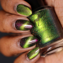 Penelope Luz: DUO "Victoria Amazonica" and "Brazilian Treasures" (Magnetic) *CAPPED PRE-ORDER*