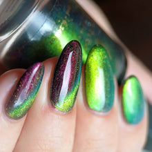 Penelope Luz: DUO "Victoria Amazonica" and "Brazilian Treasures" (Magnetic) *CAPPED PRE-ORDER*