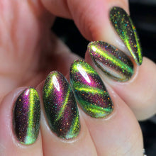 Penelope Luz: DUO "Victoria Amazonica" and "Brazilian Treasures" (Magnetic) *CAPPED PRE-ORDER*