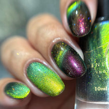 Penelope Luz: DUO "Victoria Amazonica" and "Brazilian Treasures" (Magnetic) *CAPPED PRE-ORDER*