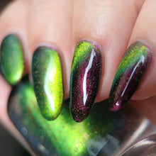 Penelope Luz: DUO "Victoria Amazonica" and "Brazilian Treasures" (Magnetic) *CAPPED PRE-ORDER*