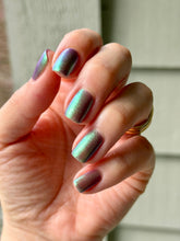 Pahlish: "Bruise" *OVERSTOCK*