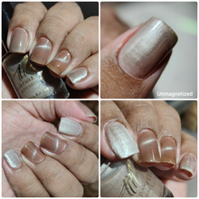 Penelope Luz: Pride Duo "Born This Way" (Magnetic) and "Never Apologize" (Magnetic) *OVERSTOCK*