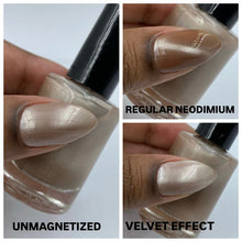 Penelope Luz: Pride Duo "Born This Way" (Magnetic) and "Never Apologize" (Magnetic) *OVERSTOCK*
