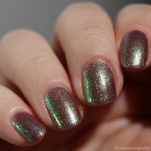 Pahlish: "Bruise" *OVERSTOCK*