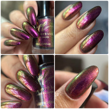 Penelope Luz: Pride Duo "Love Wins" and "Love is Love" (Magnetic) *OVERSTOCK*