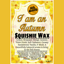 Golly Oodelally Designs: Squishie Wax "I am an Autumn" *OVERSTOCK*